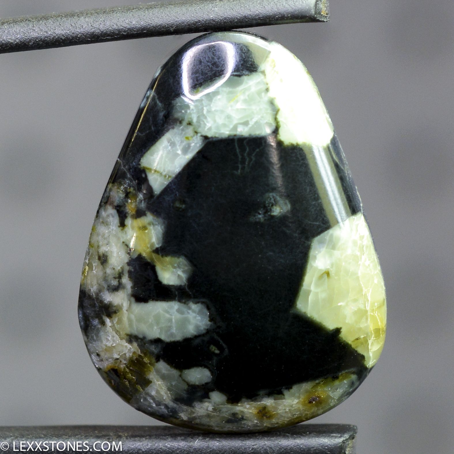 JADEX Edward's Black Wyoming Nephrite Jade Lexx Stones | Lexx Stones